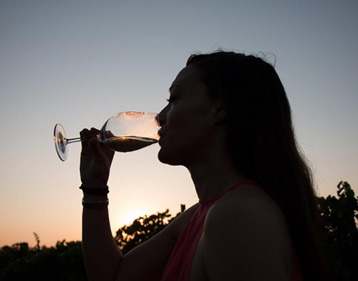 DO Rueda | Valladolid