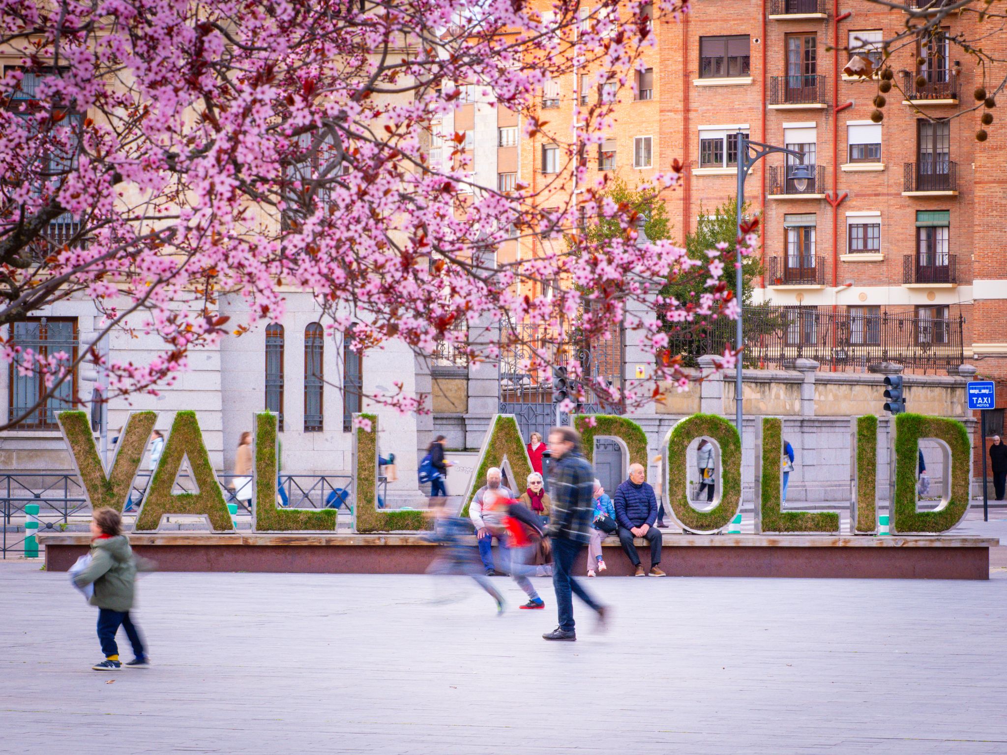 letras de Valladolid con flores