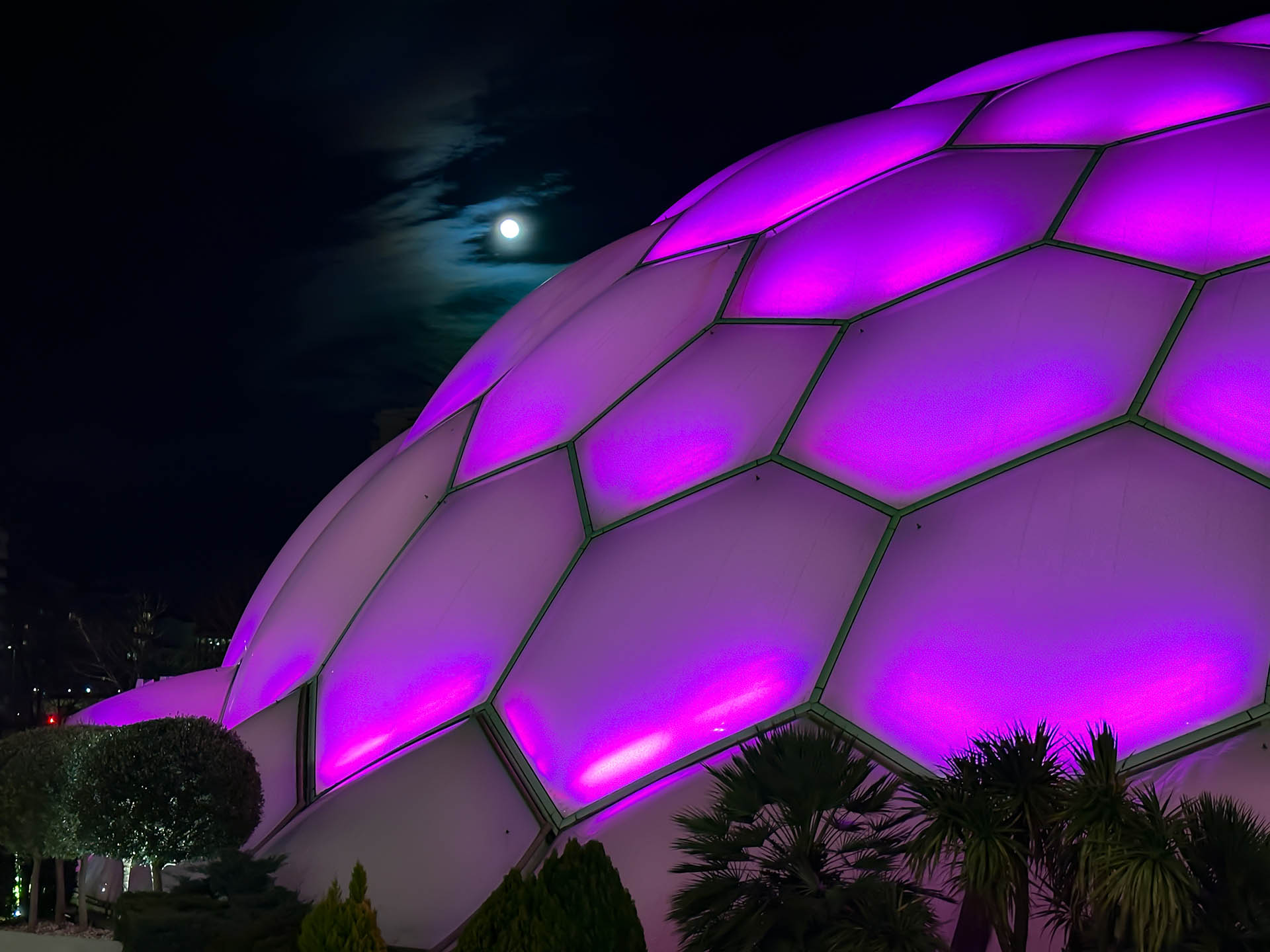 Cupula del Milenio. Iluminacion Rosa. Ríos de Luz