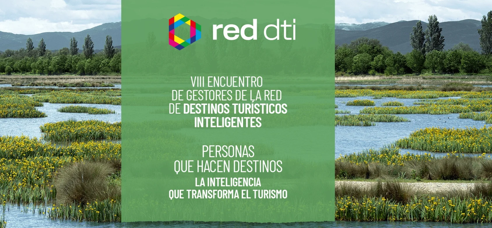 red dti