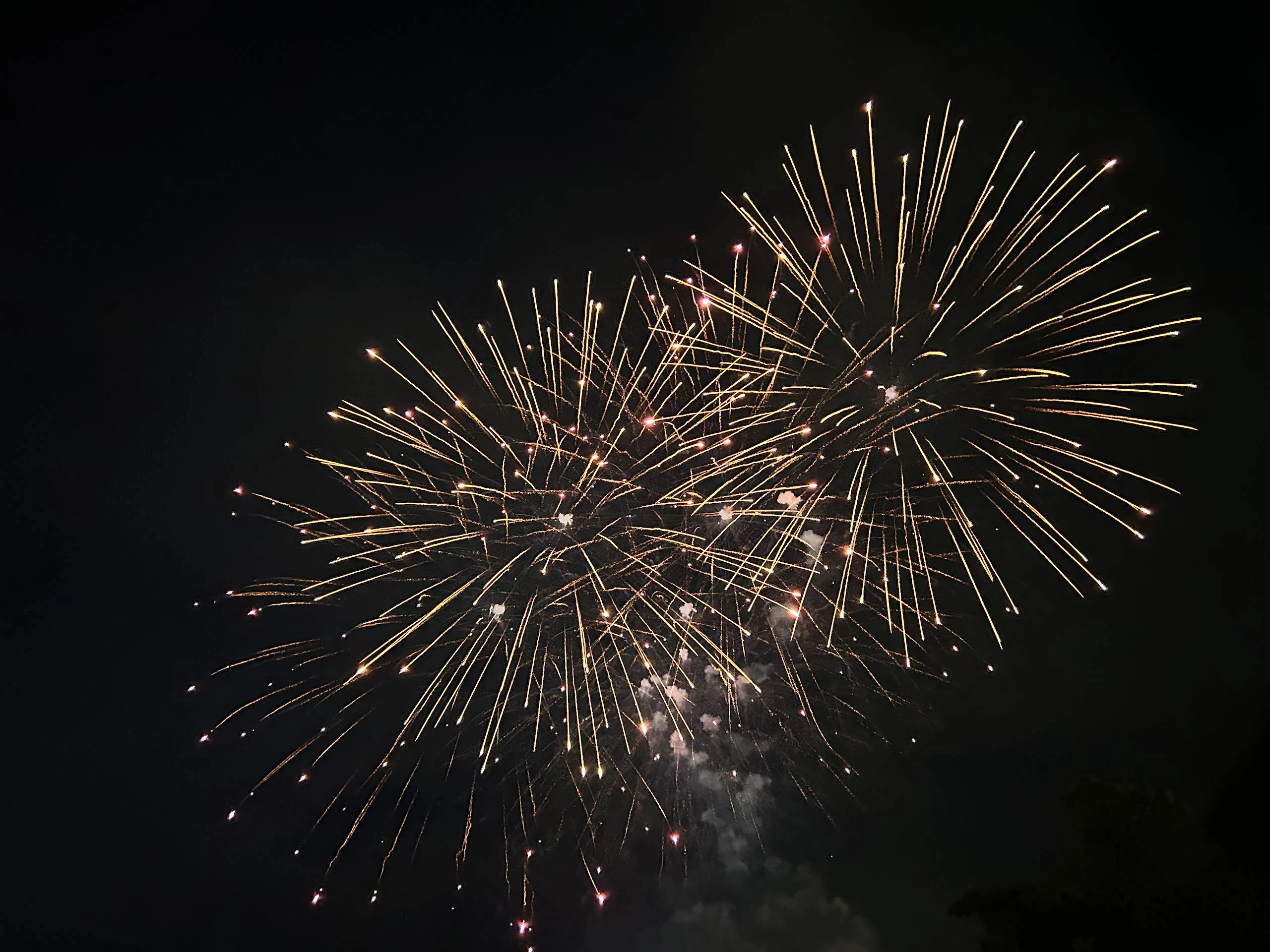 Fuegos Artificiales