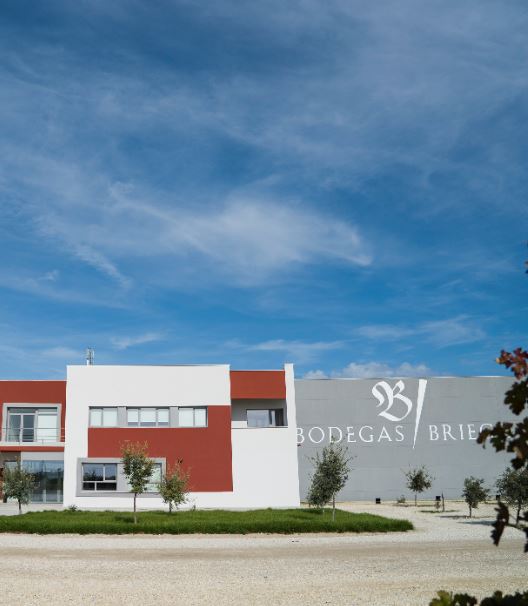 Bodegas Briego | Valladolid