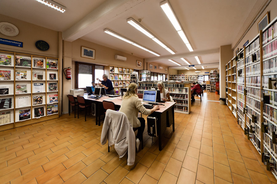 Plas Pajarero 1 Delicias14.jpg