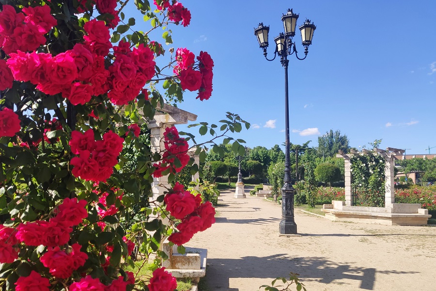 La Rosaleda 1 la rosaleda web 6.jpg