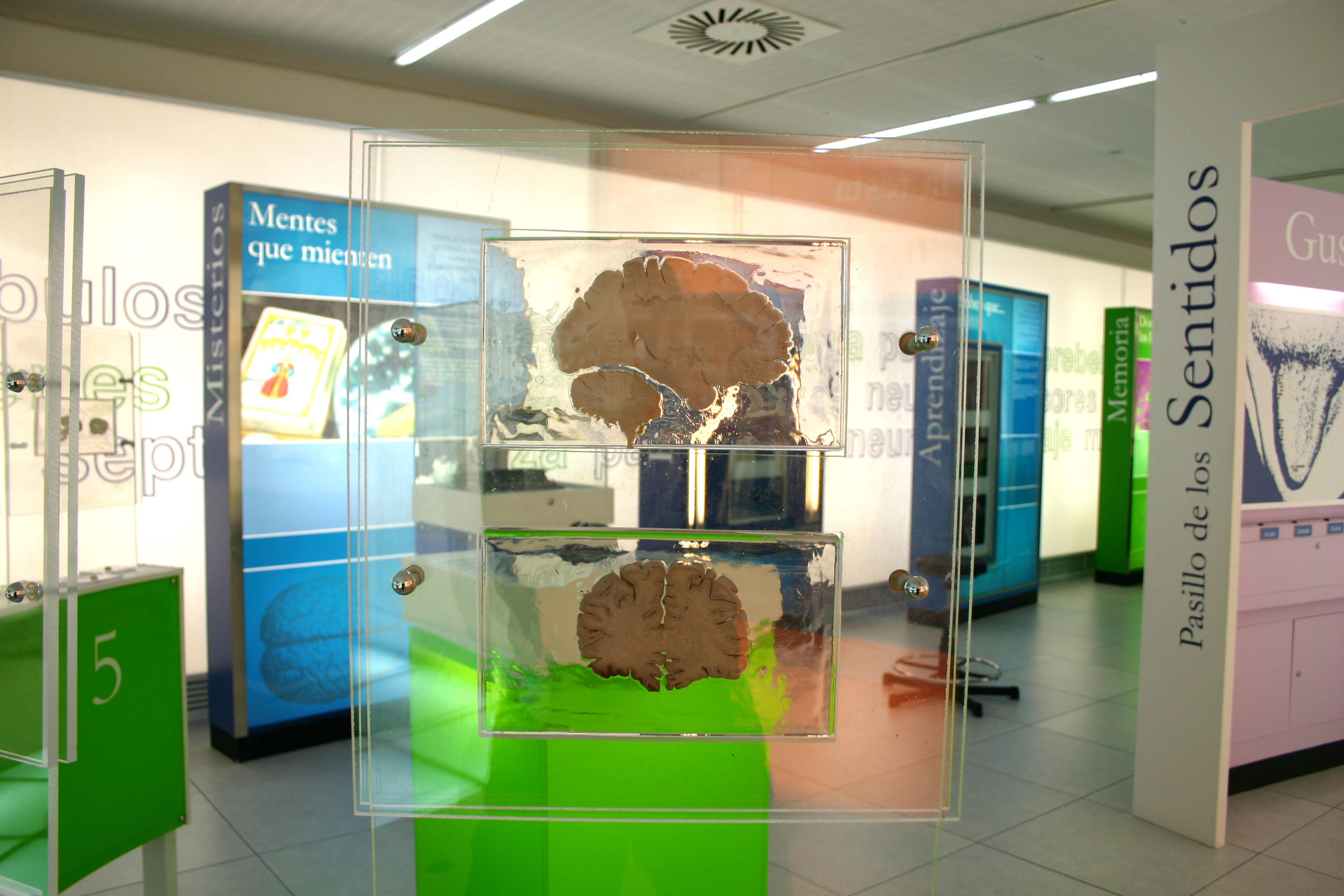 Science Museum 14 sala del pío del río hortega.jpg