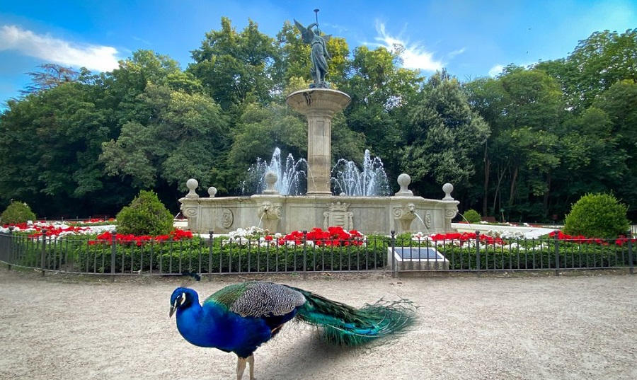 Campo Grande 1 campo grande fuente de la fama.jpg