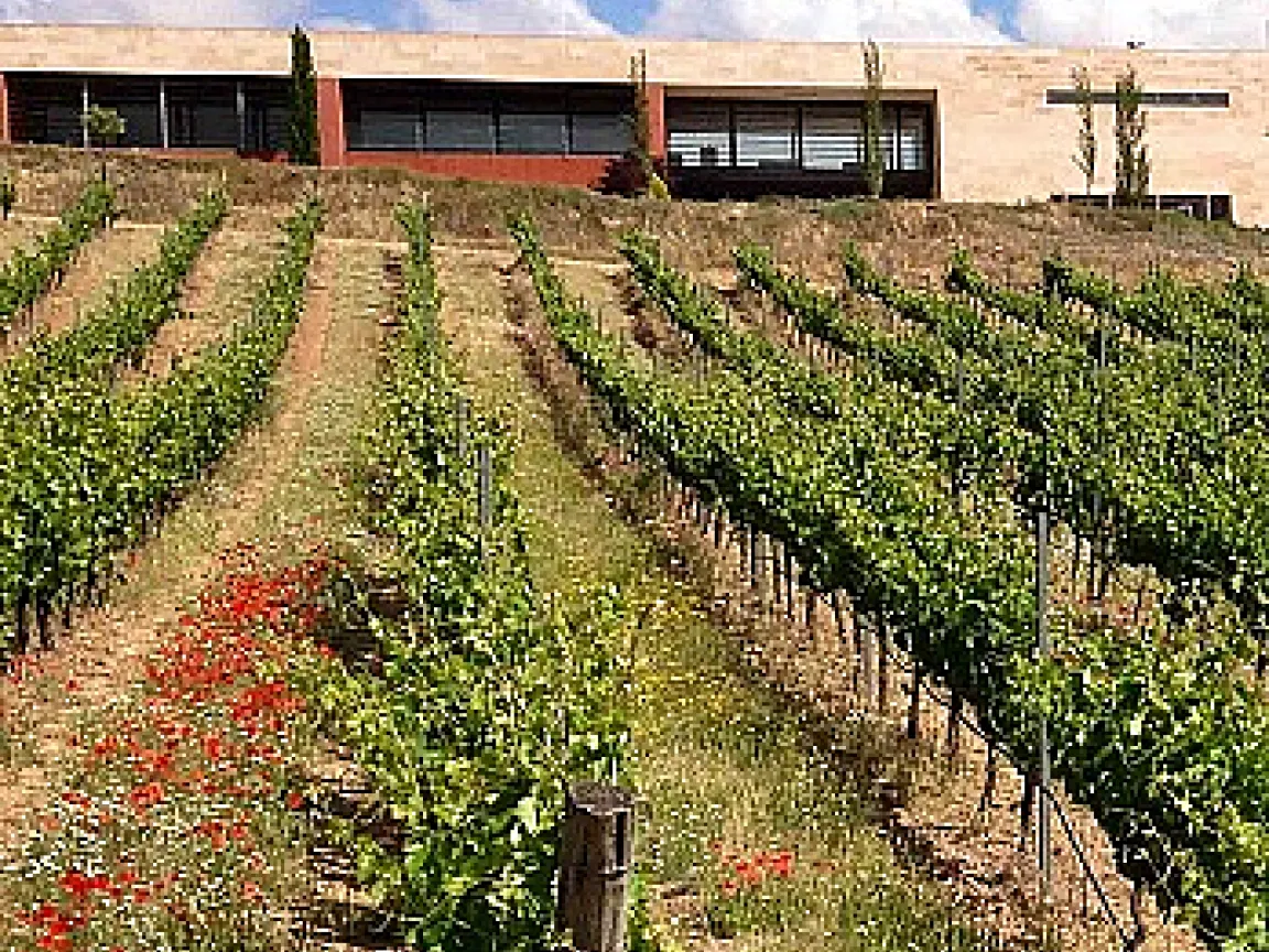 La Solana | Valladolid