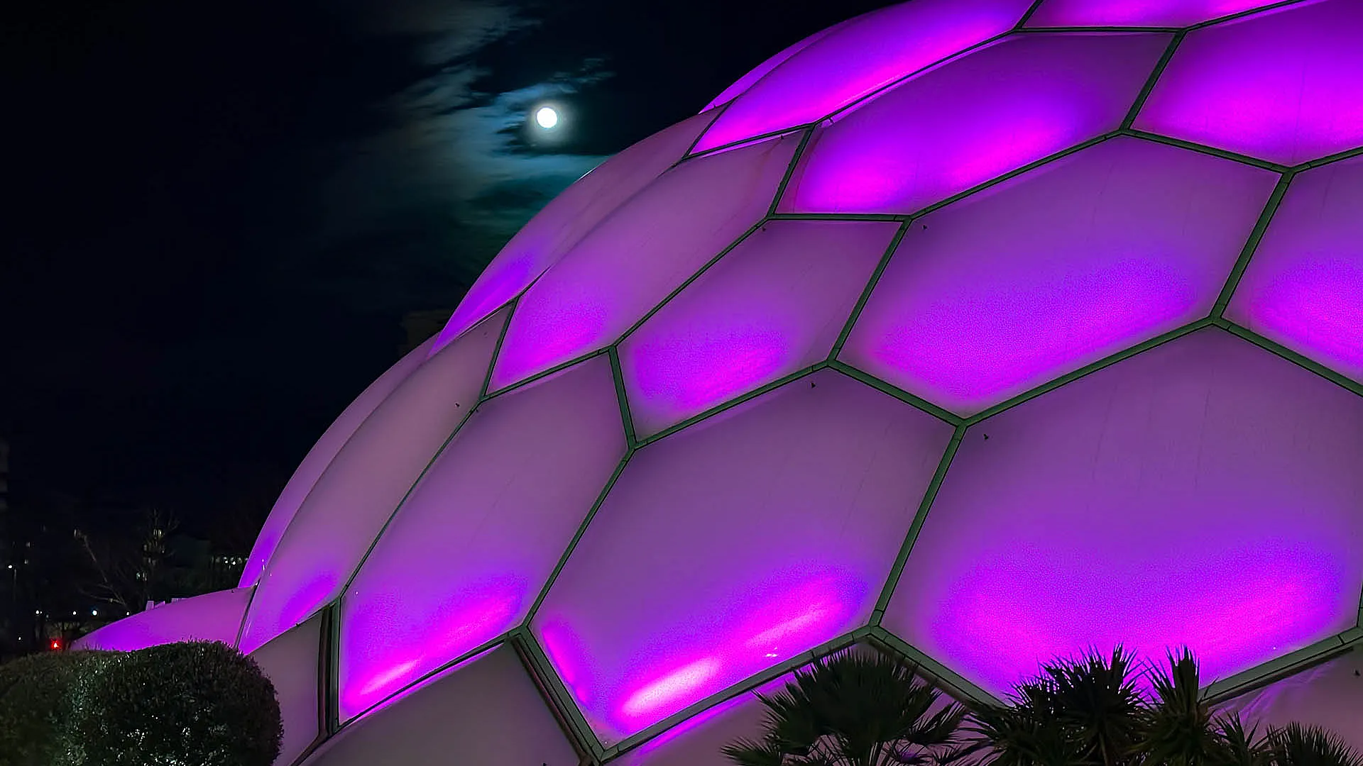 Cupula del Milenio. Iluminacion Rosa. Ríos de Luz