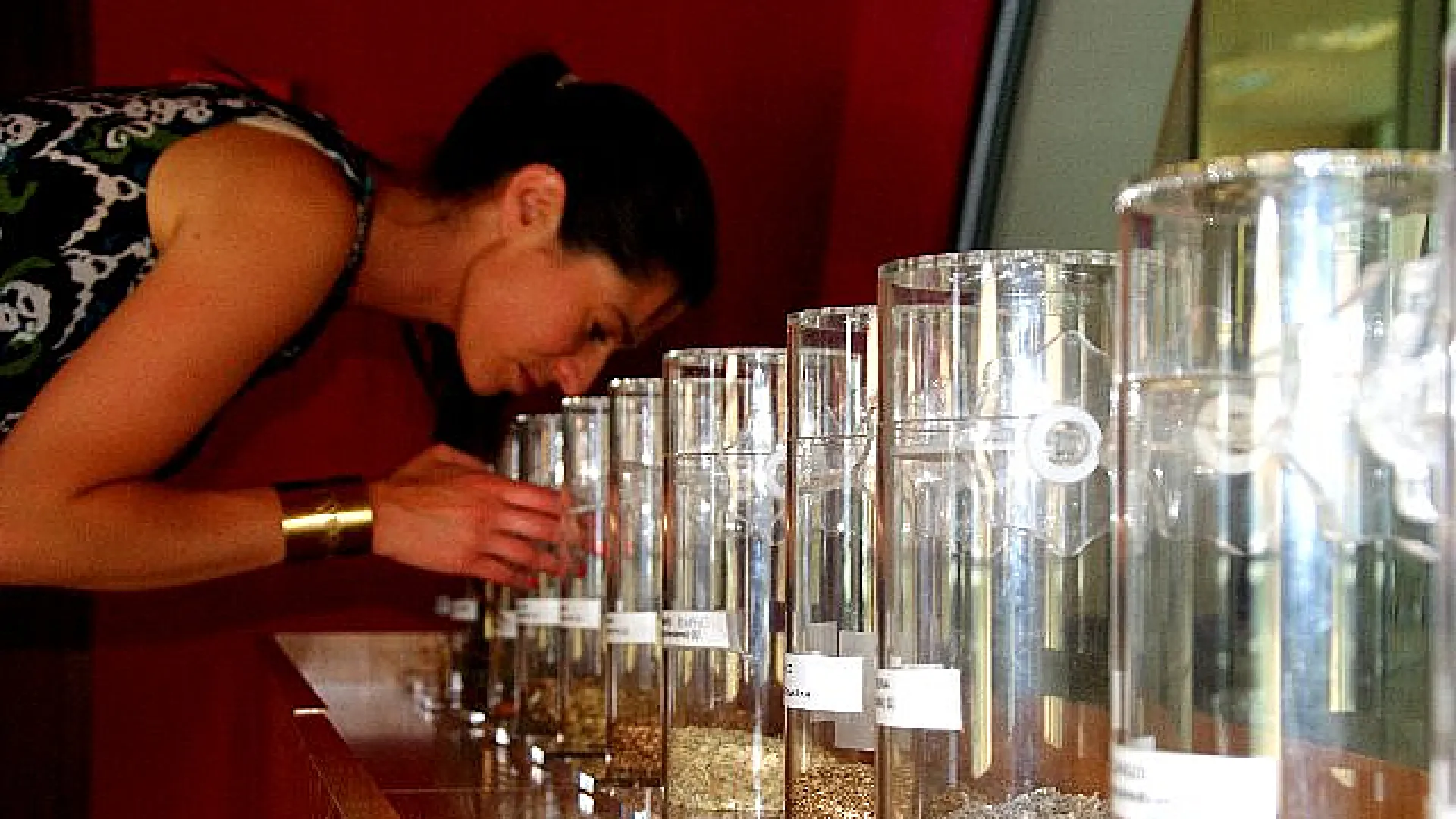 Centre d’Interprétation Vitivinicole Emina 2 Emina10.jpg