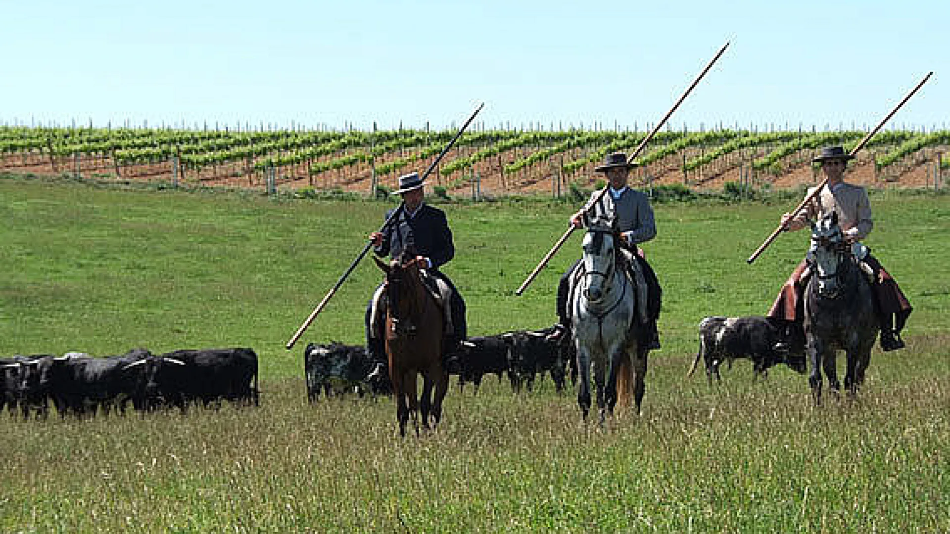 Cortijo Los Expolios 1 Los Expolios 3.jpg