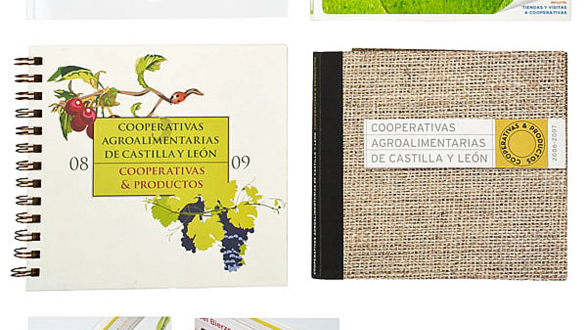 RQR Comunicación 11 RQR6.jpg