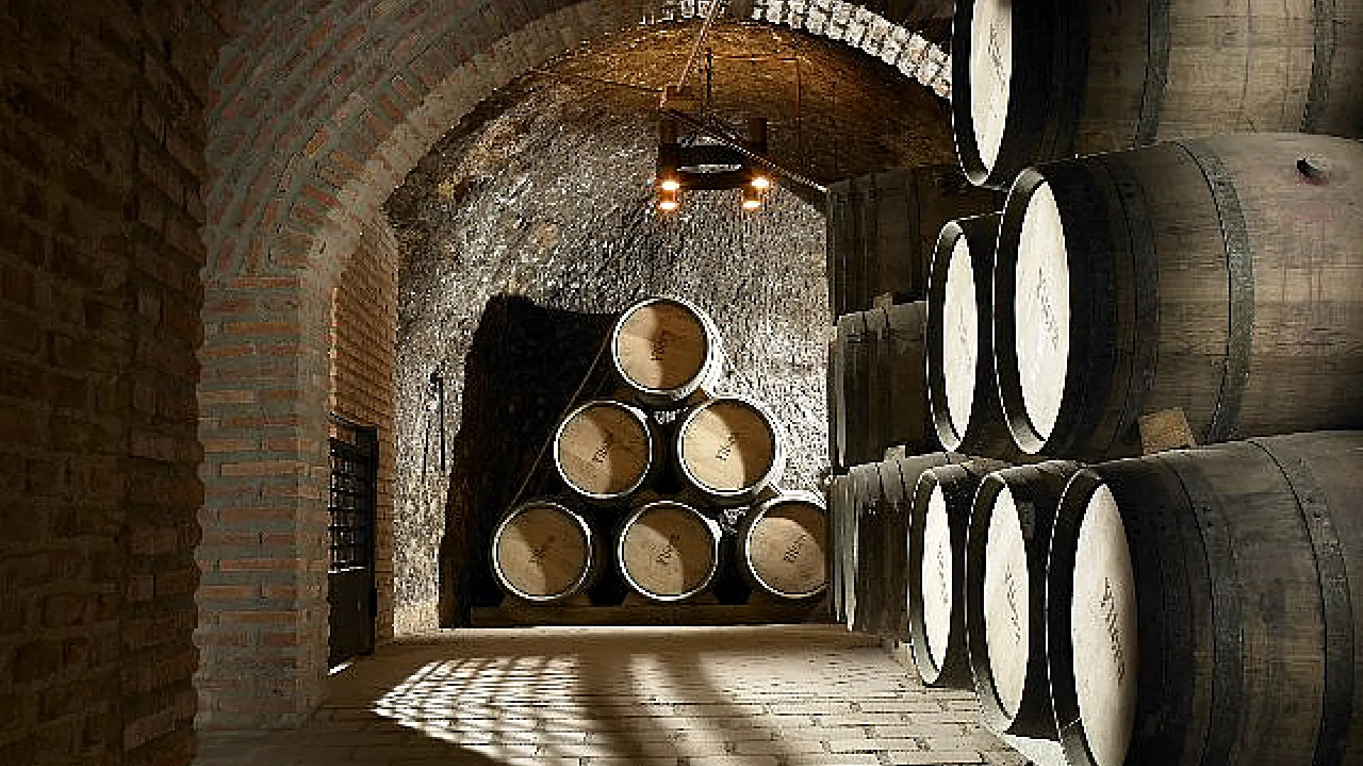 Grupo Yllera 4 Yllera4.jpg