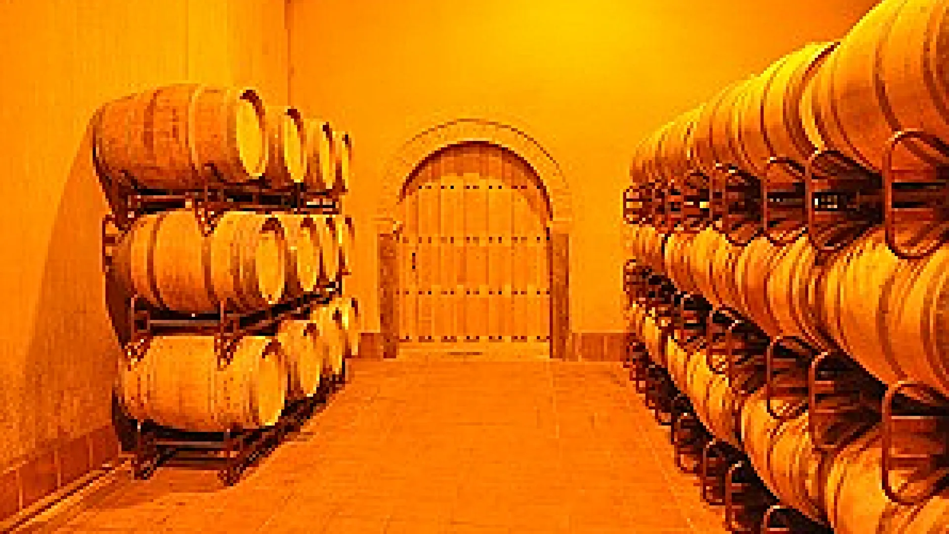 Bodega Barco las Culebras 3 barcolasculebras10.png