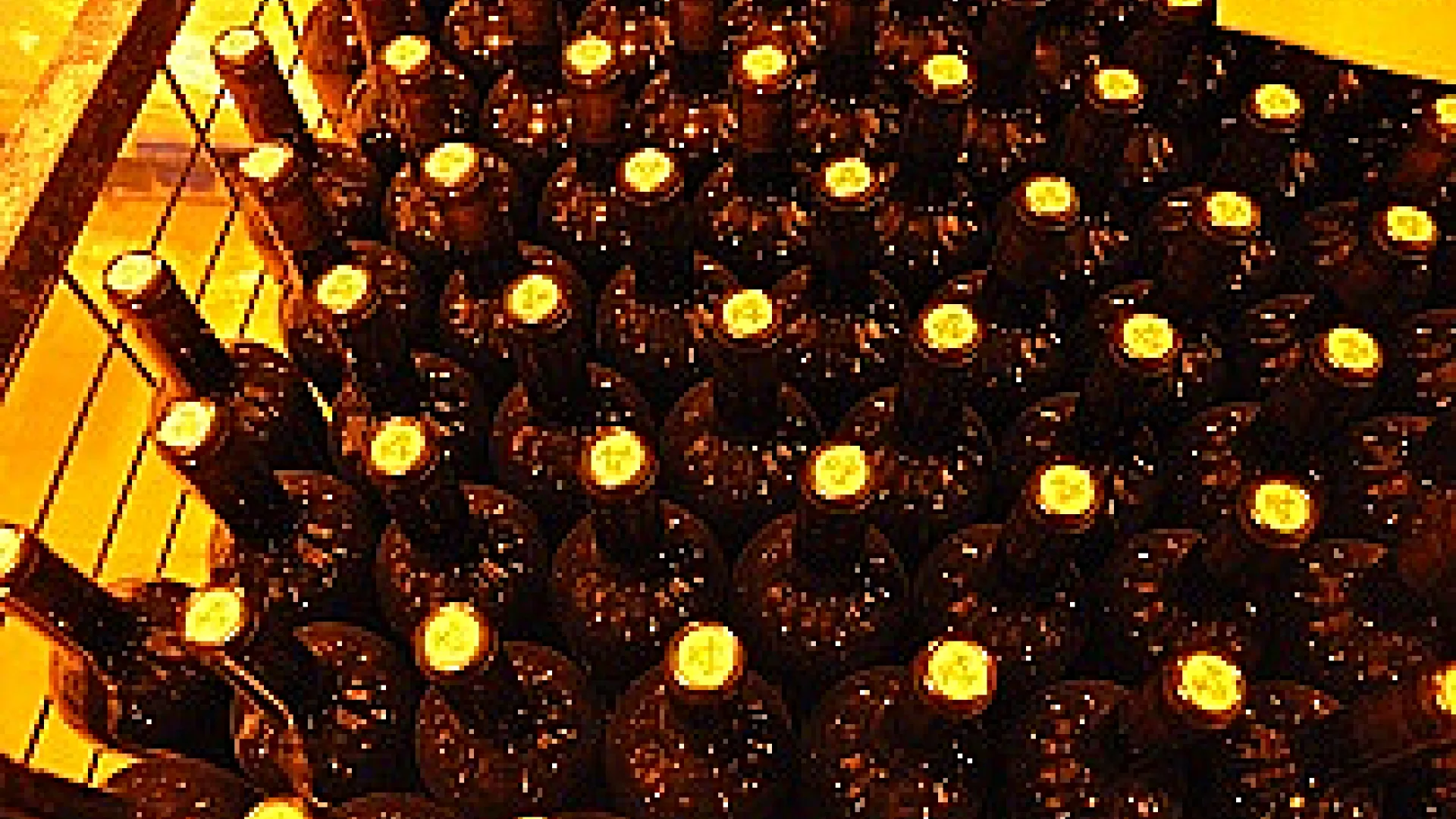 Bodega Barco las Culebras 4 barcolasculebras11.png