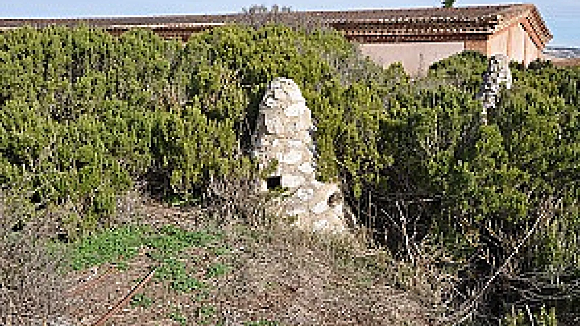 Bodega Barco las Culebras 11 barcolasculebras8.png