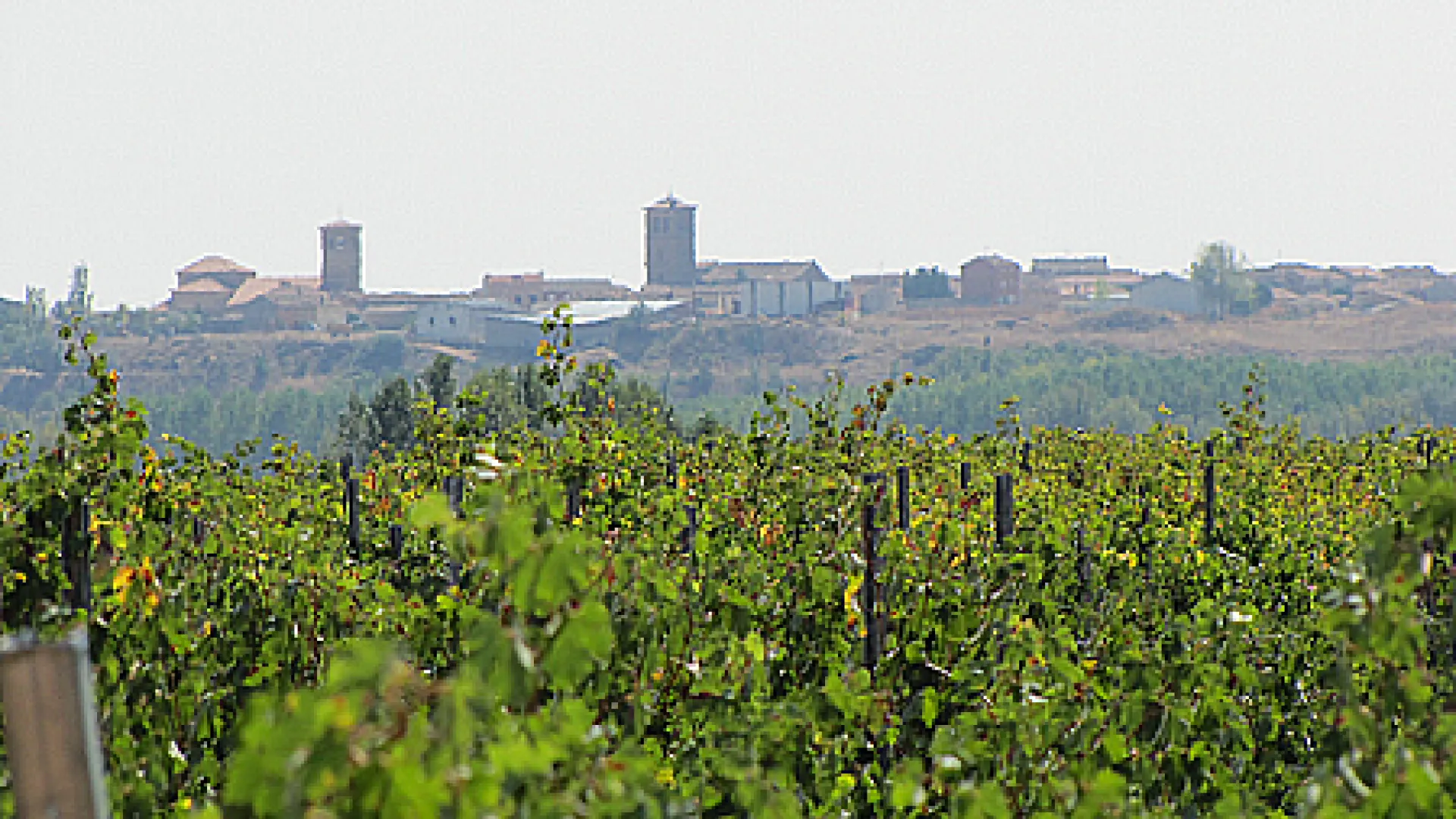 Domaines Viticoles Melgarajo 2 Melgarajo2.png