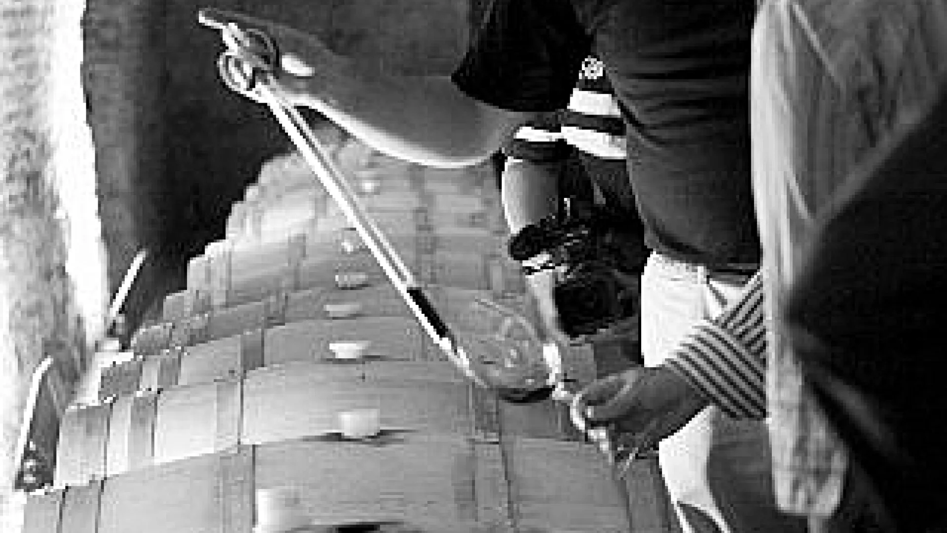 Rento, bodegas Renacimiento 8 Rento8.jpg