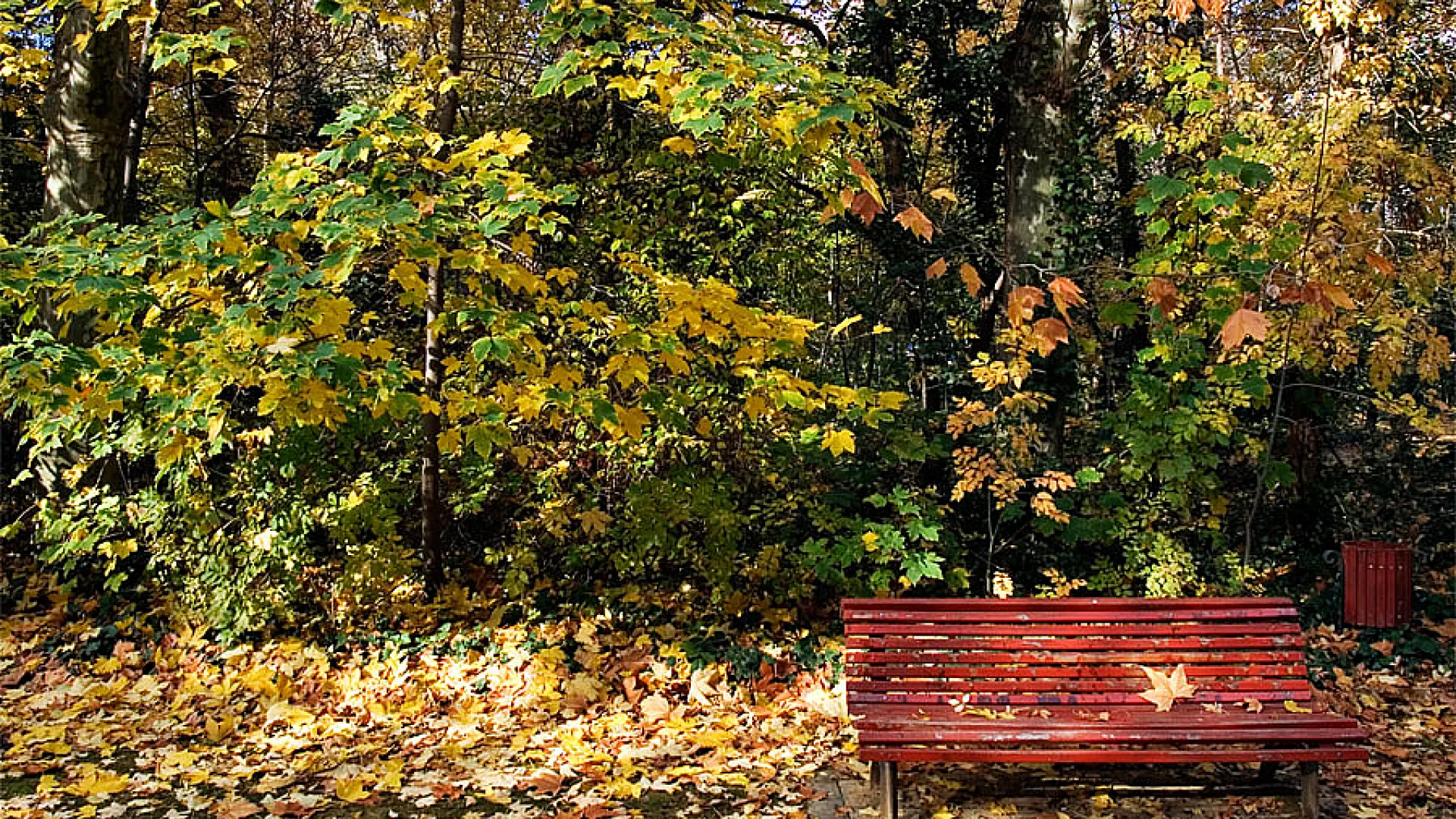 Campo Grande 4 Campo grande3.jpg