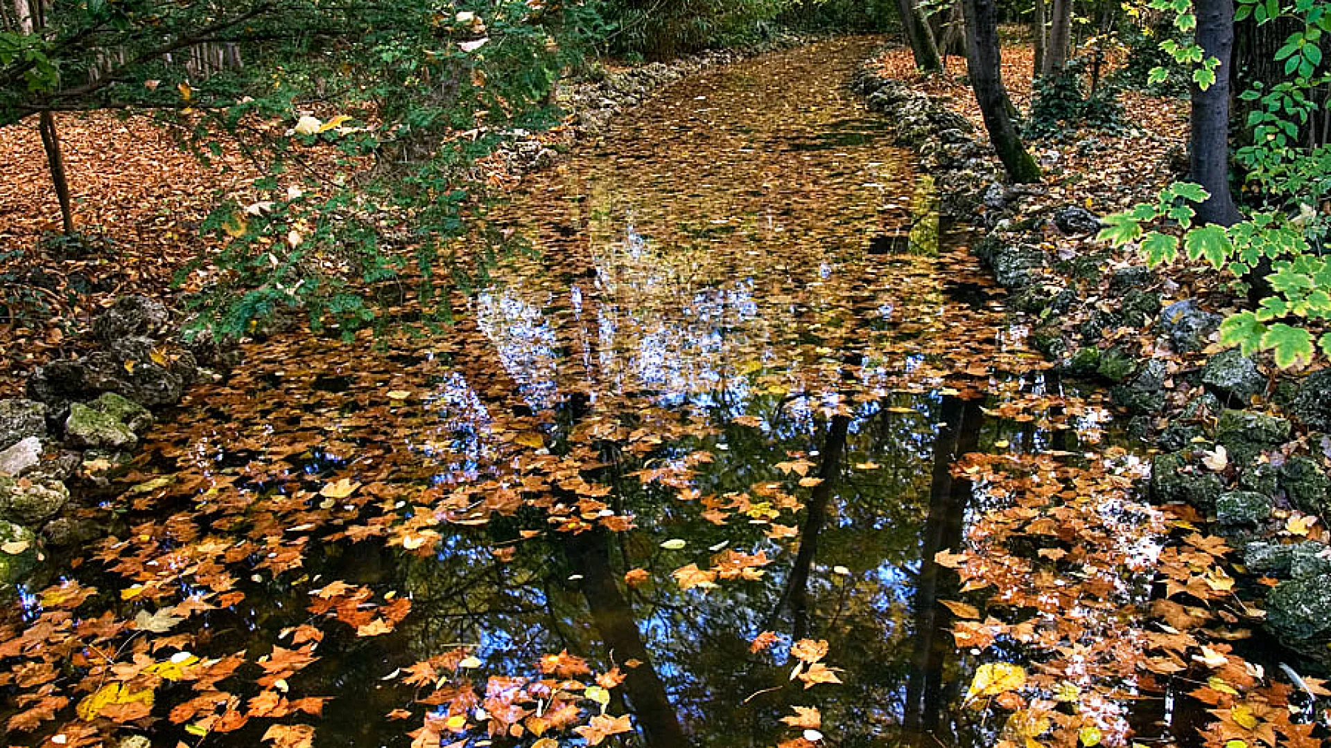 Campo Grande 5 Campo grande4.jpg