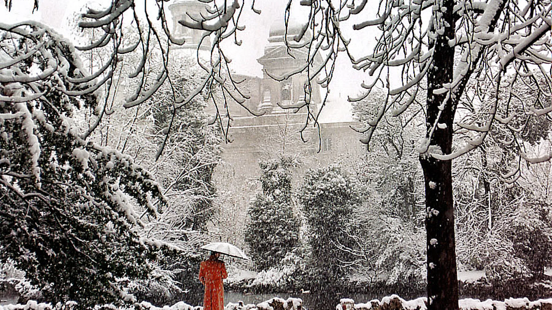 Campo Grande 8 Campo grande7.jpg