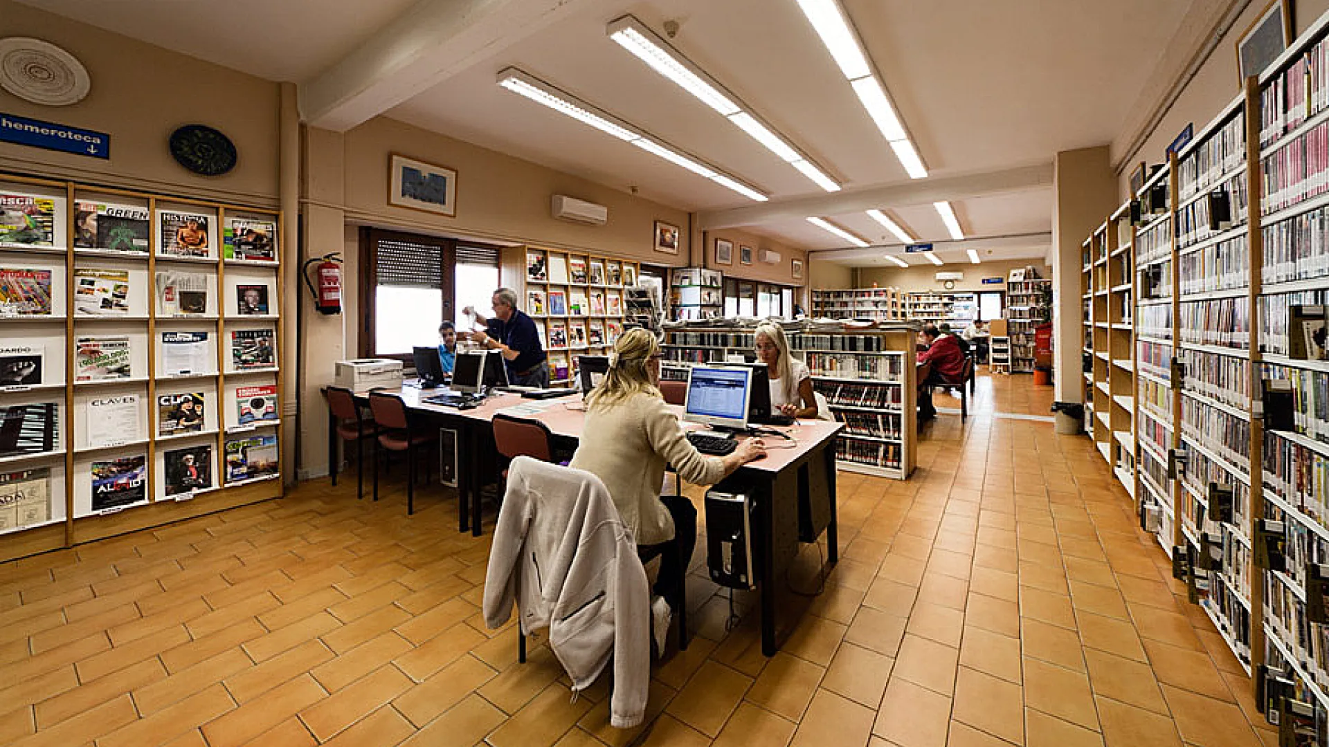 Plas Pajarero 1 Delicias14.jpg