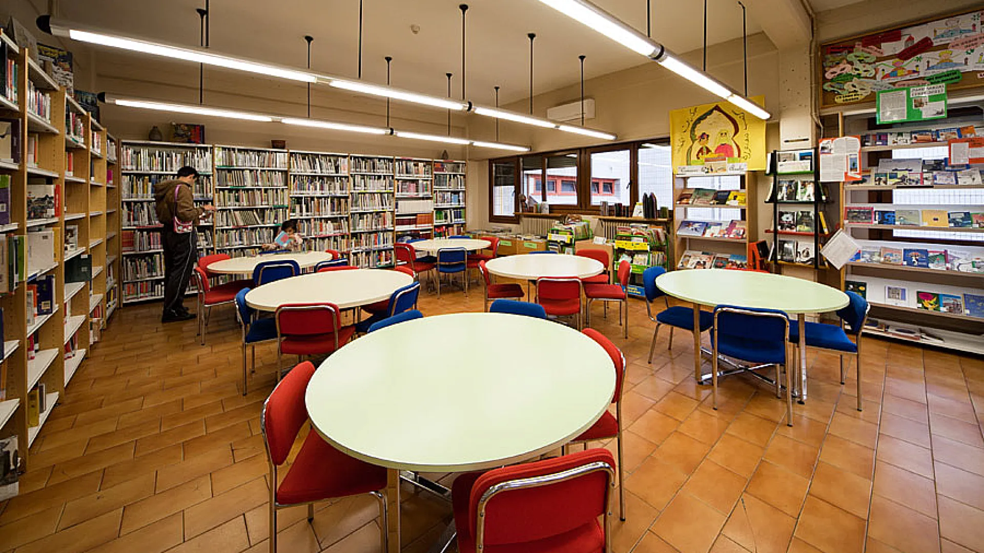 Plas Pajarero 2 Delicias5.jpg