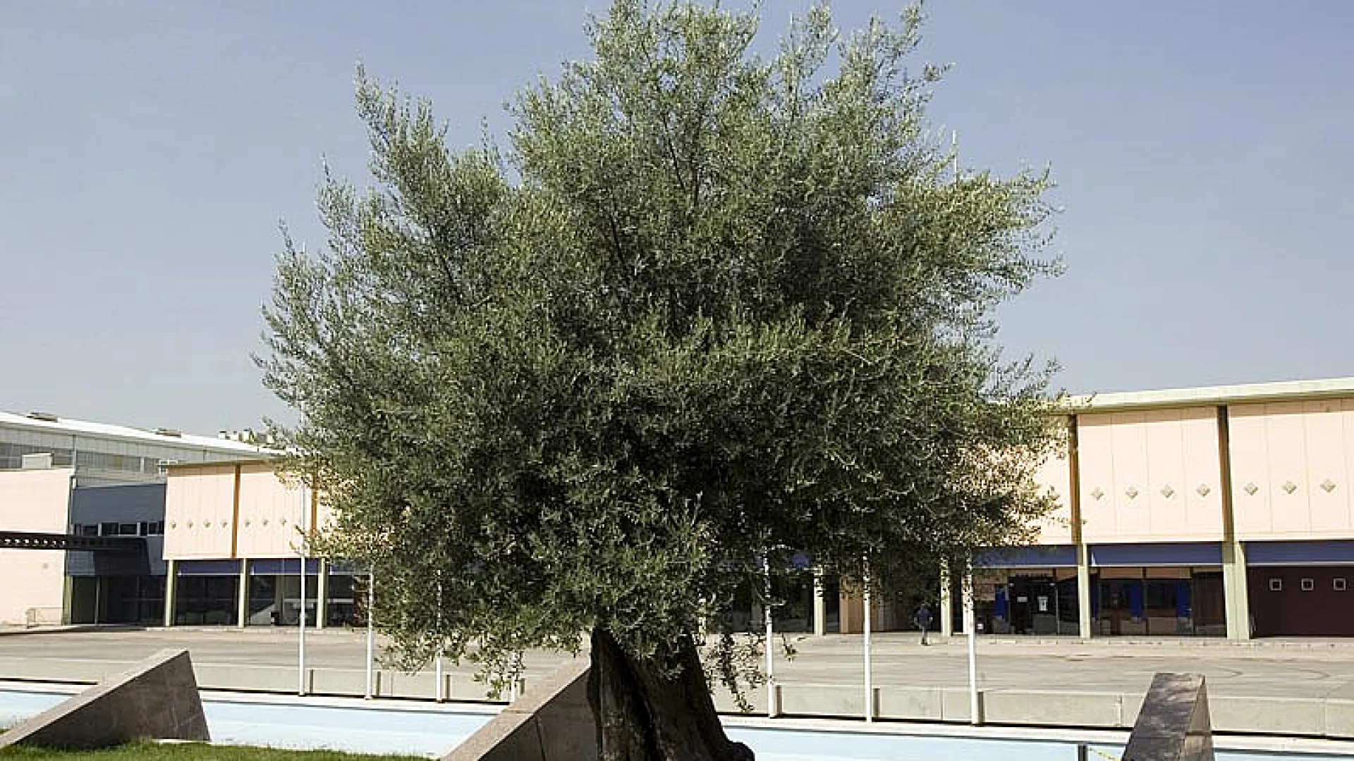 Valladolid Centro Congresos 2 Feria1.jpg