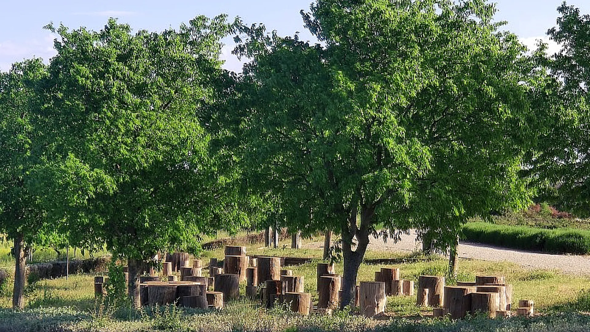 Parque de las Contiendas 5 IMG-20220514-WA0015(1).jpg