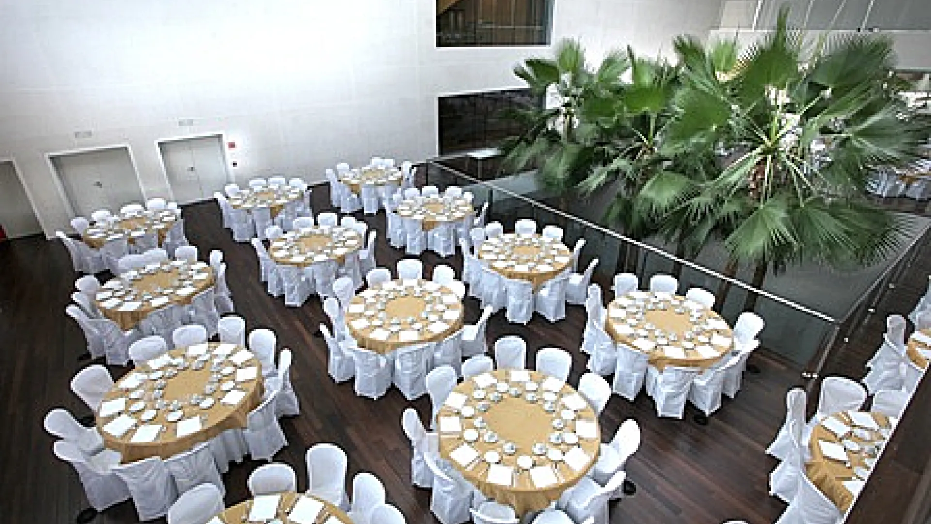 Centro Cultural Miguel Delibes 16 Miguel Delibes5.jpg