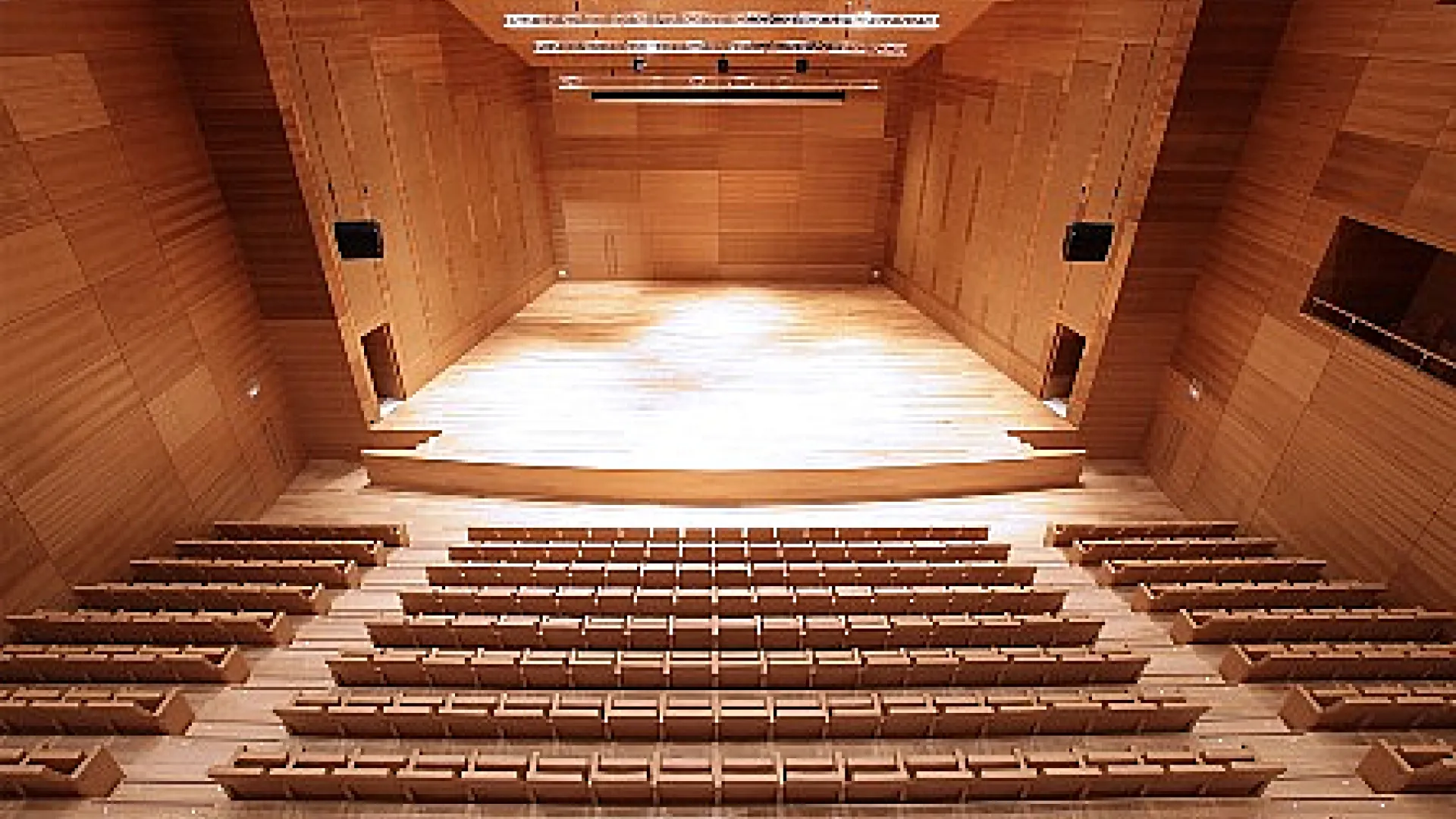 Centro Cultural Miguel Delibes 9 Miguel Delibes8.jpg