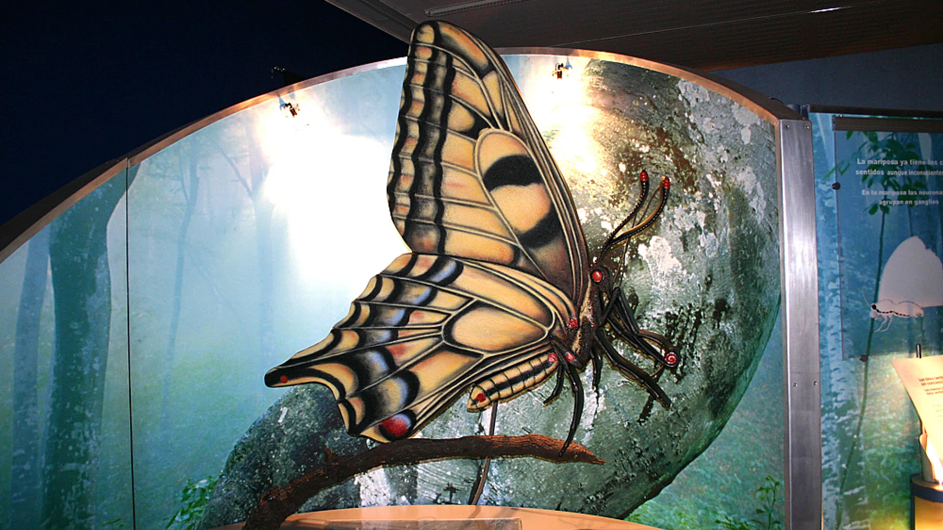 Museo de la Ciencia 12 Sala de la neurona.jpg