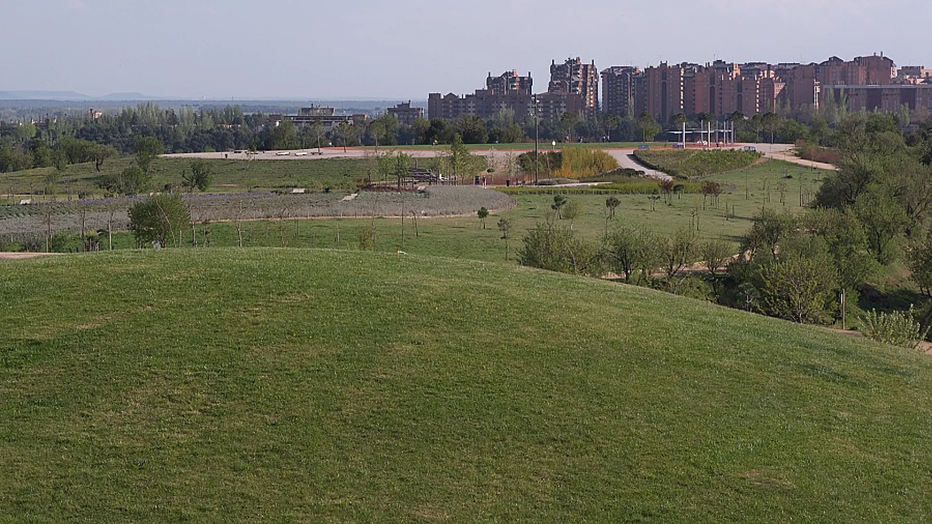 Parque de las Contiendas 2 cerro contiendas peq.jpg