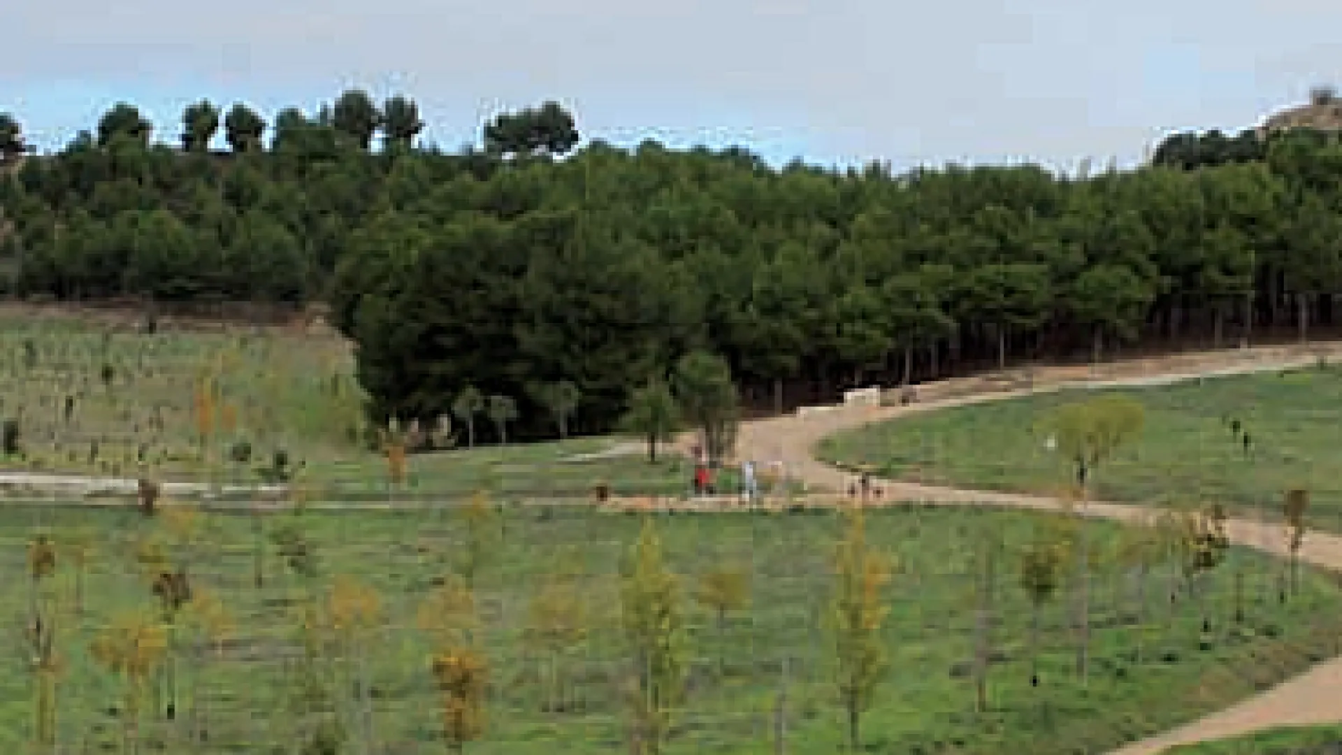 Parque de las Contiendas 3 cerro contiendas.png