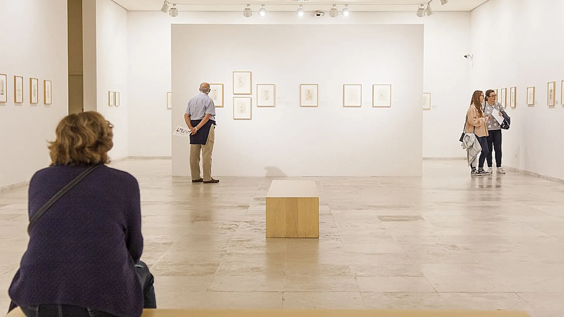 Museo Patio Herreriano 1 expo_mph.jpg