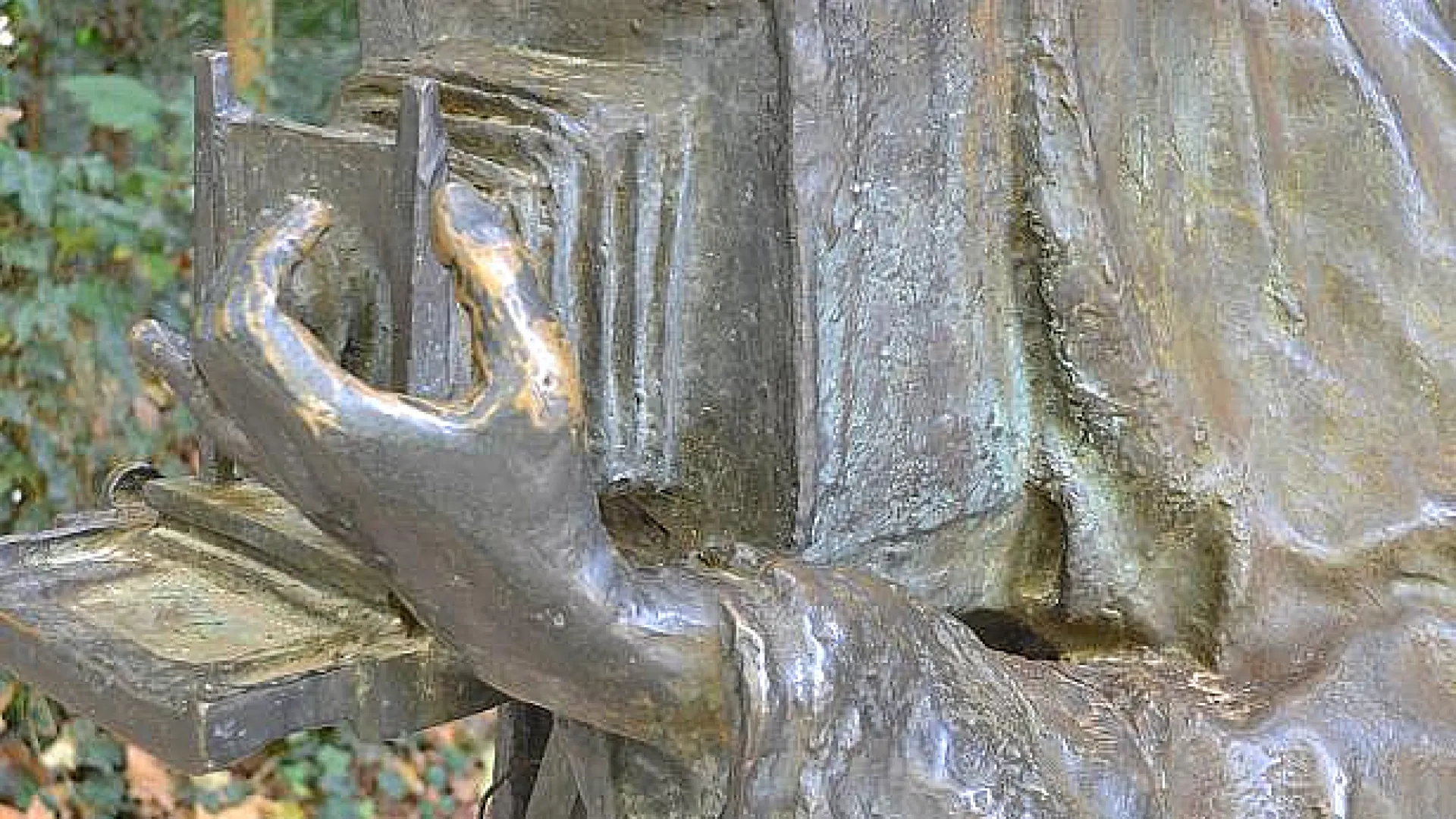 Fotógrafo del Campo Grande 3 fotografo3.jpg