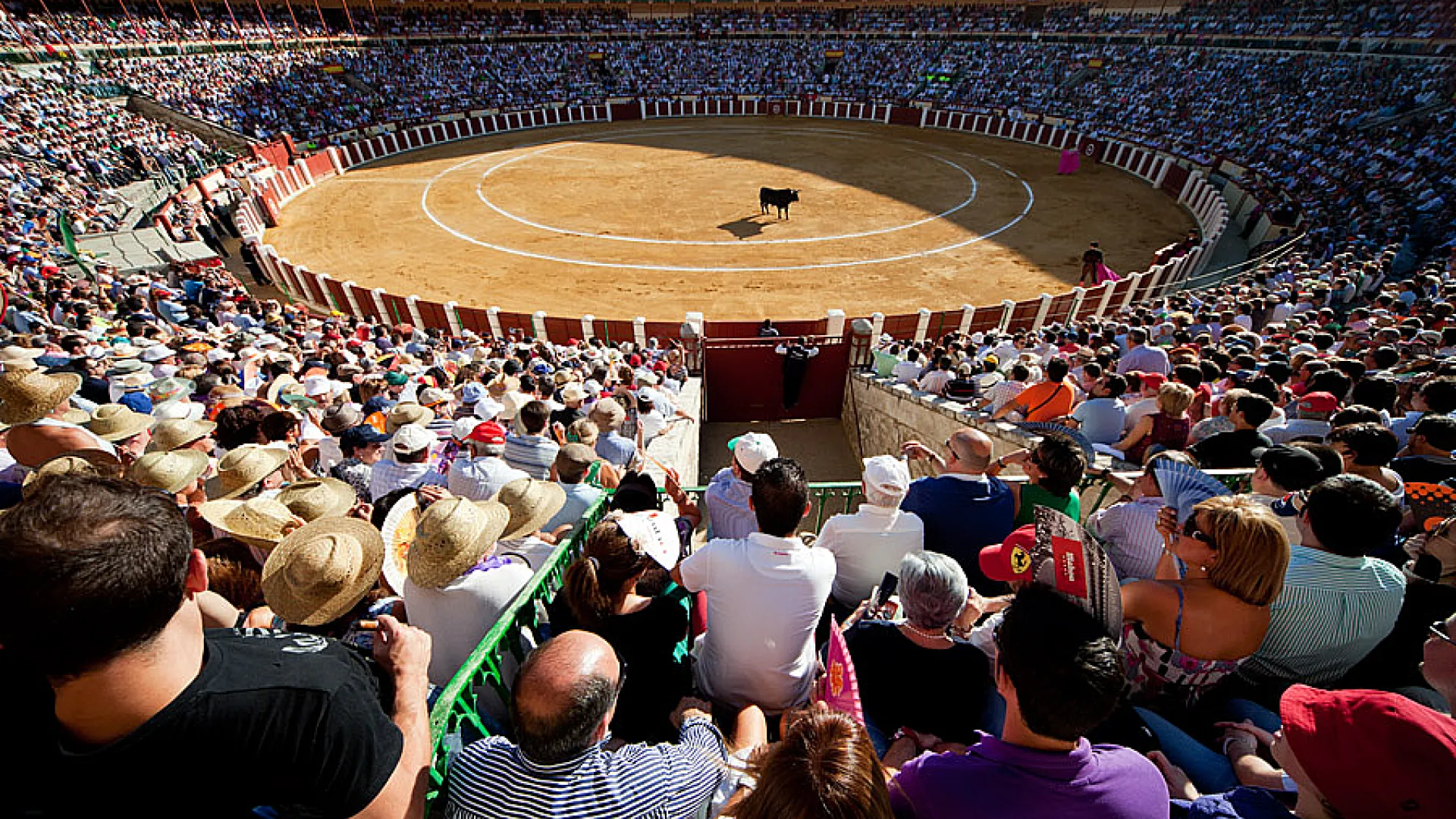 Plaza de Toros 3 plazatoros17.jpg