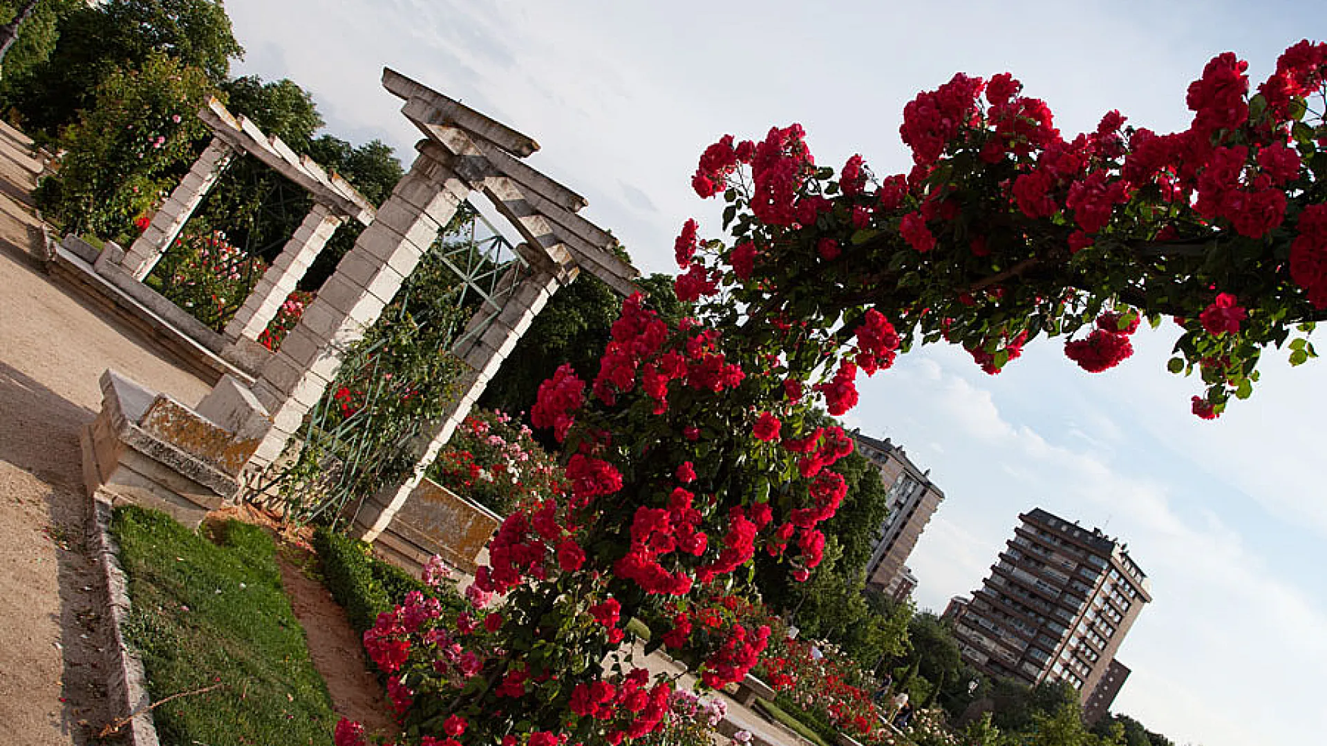 La Rosaleda 6 rosaleda1.jpg