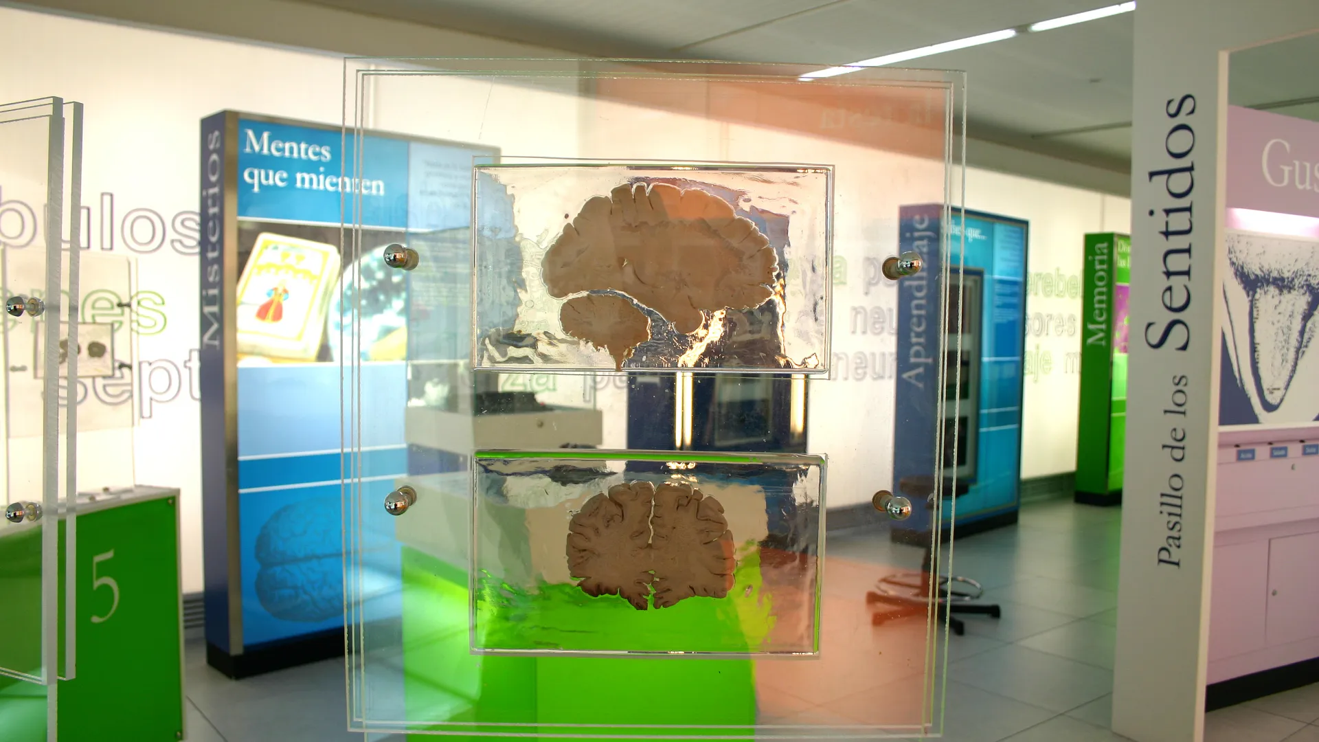 Museo de la Ciencia 14 sala del pío del río hortega.jpg