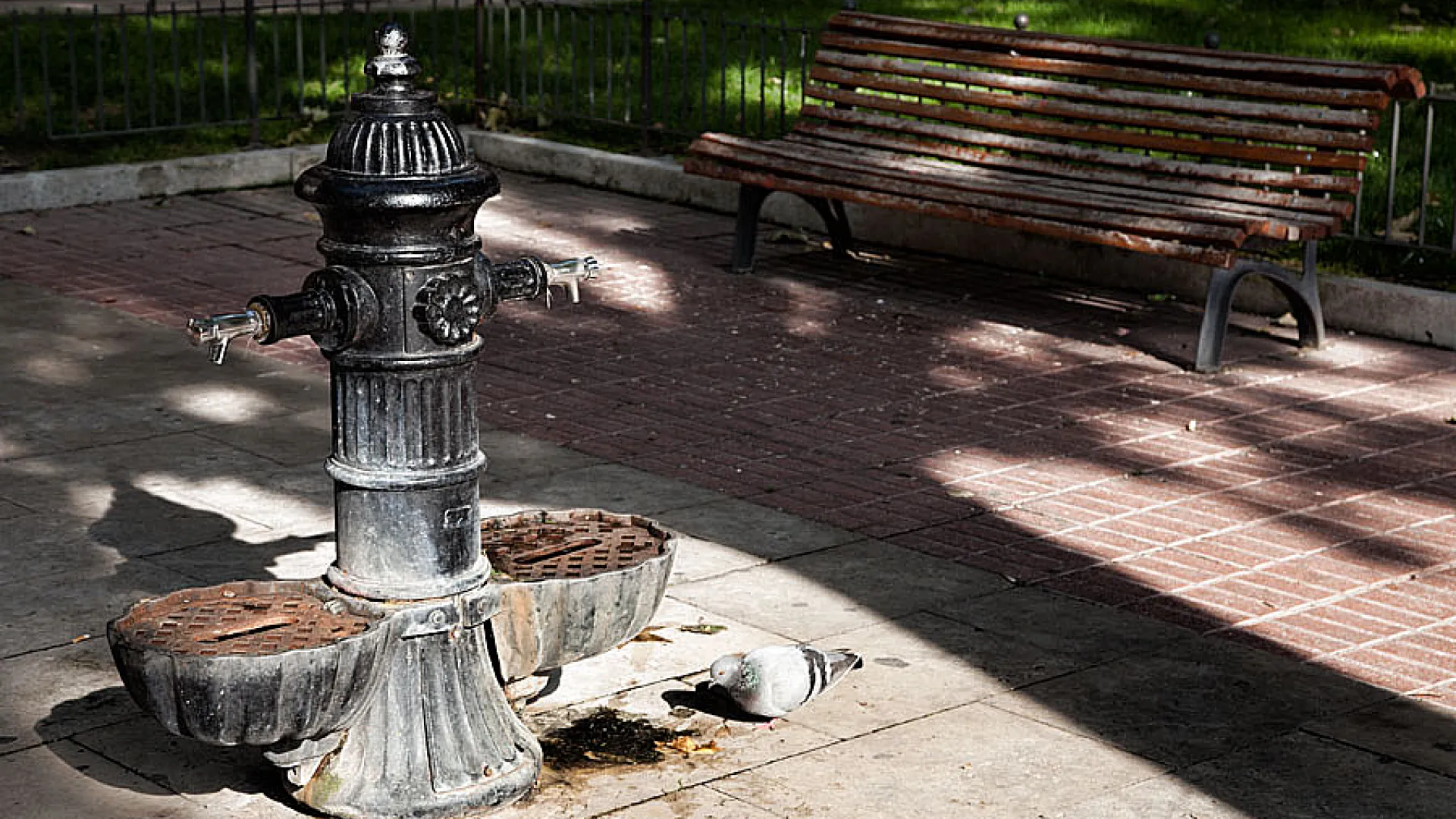 Colegio de Santa Cruz 6 santacruz14.jpg