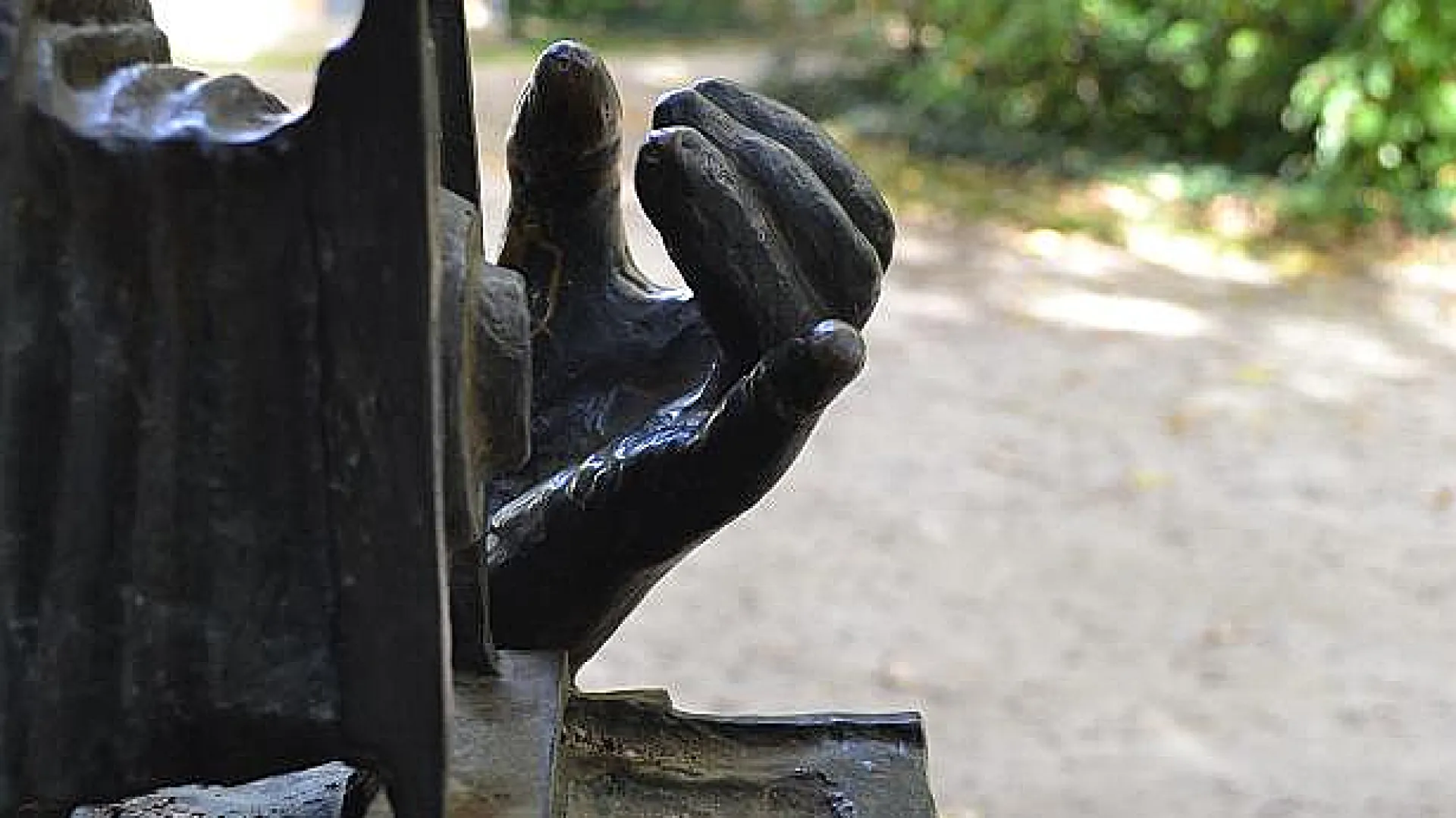 Fotógrafo del Campo Grande 2 Fotografo2.jpg