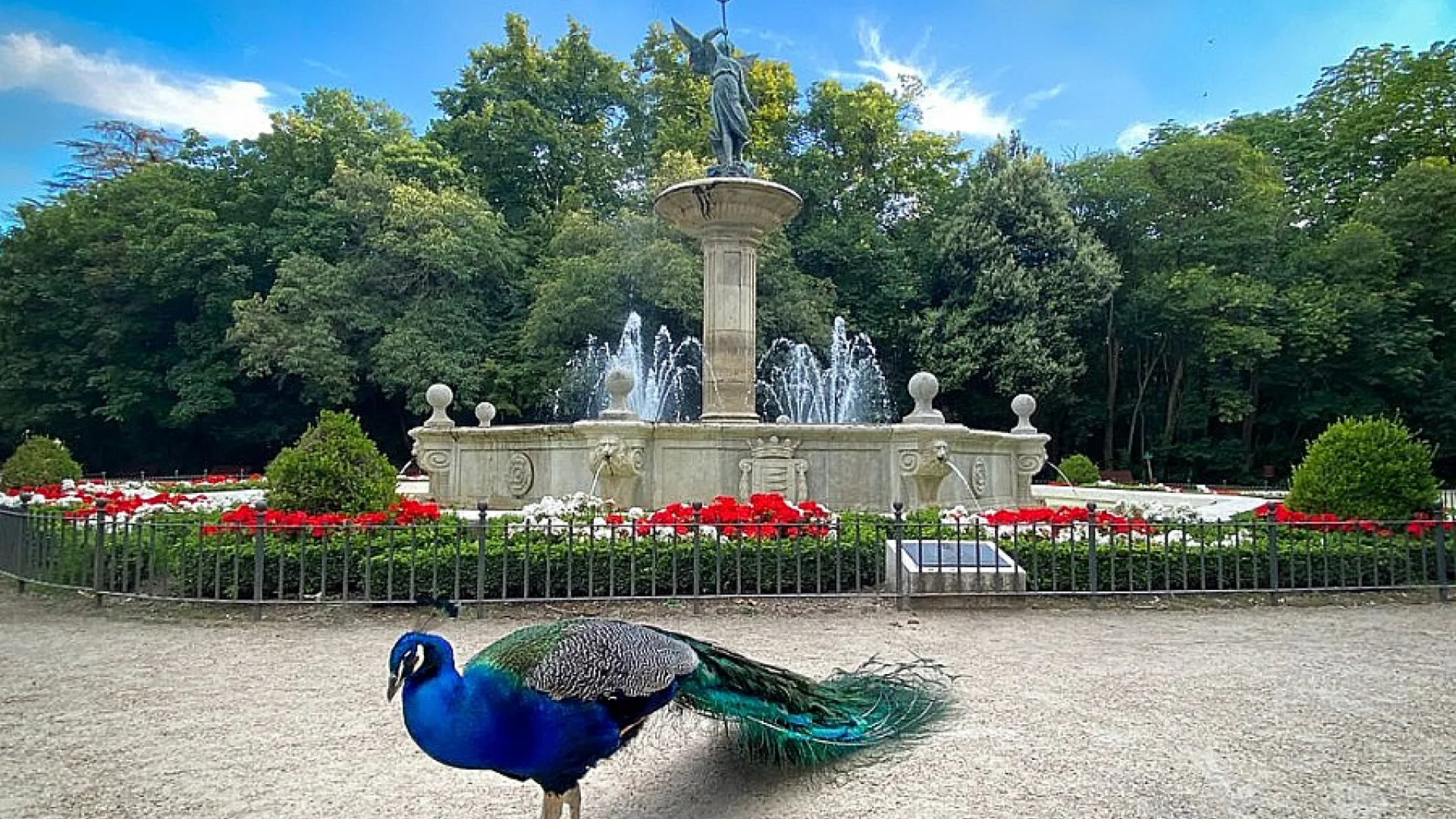 Campo Grande 1 campo grande fuente de la fama.jpg