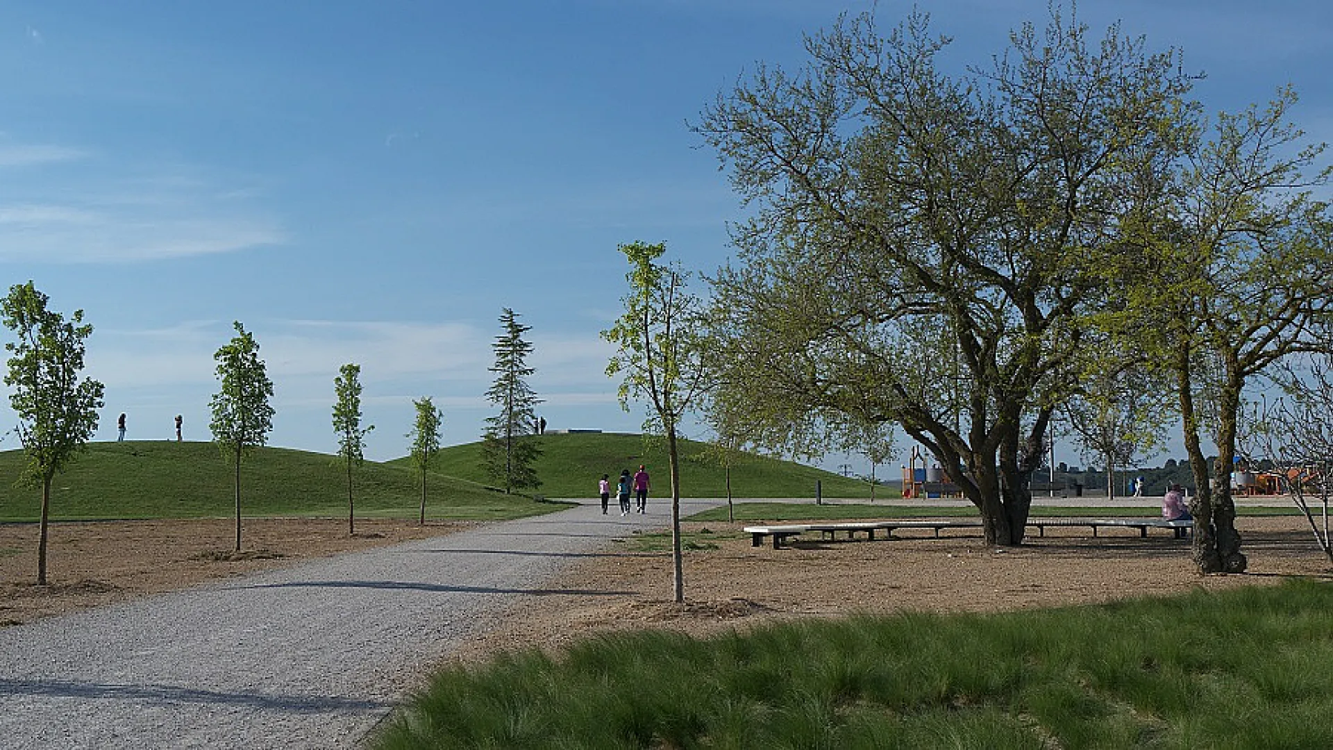 Parque de las Contiendas 4 cerro contiendas2 peq.jpg