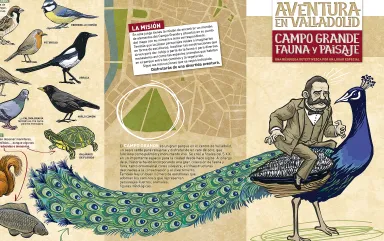 Ruta Aventura en el Campo Grande