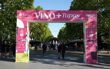 Vino + Tapas Valladolid