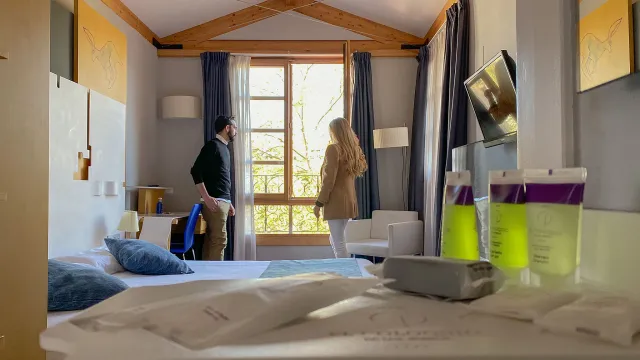 Habitación Hotel coloquio de los Perros. Interior.