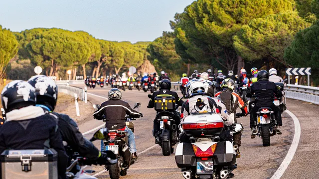 Excursion Pinguinos Carretera a Mojados