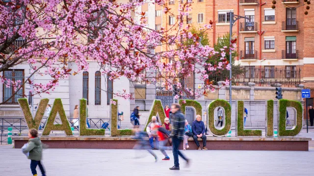 letras de Valladolid con flores