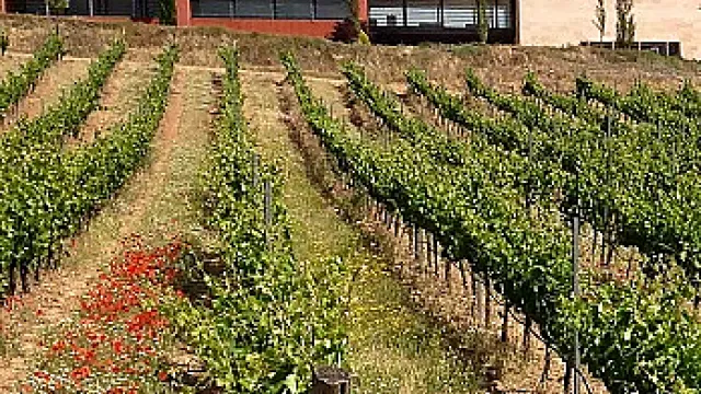 Bodegas Comenge Cruz de Canto.jpg