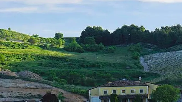 bodega vinos de la luz.JPG