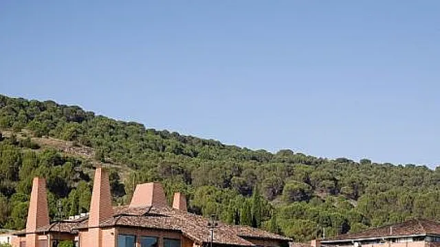 bodegas viña mayor.JPG